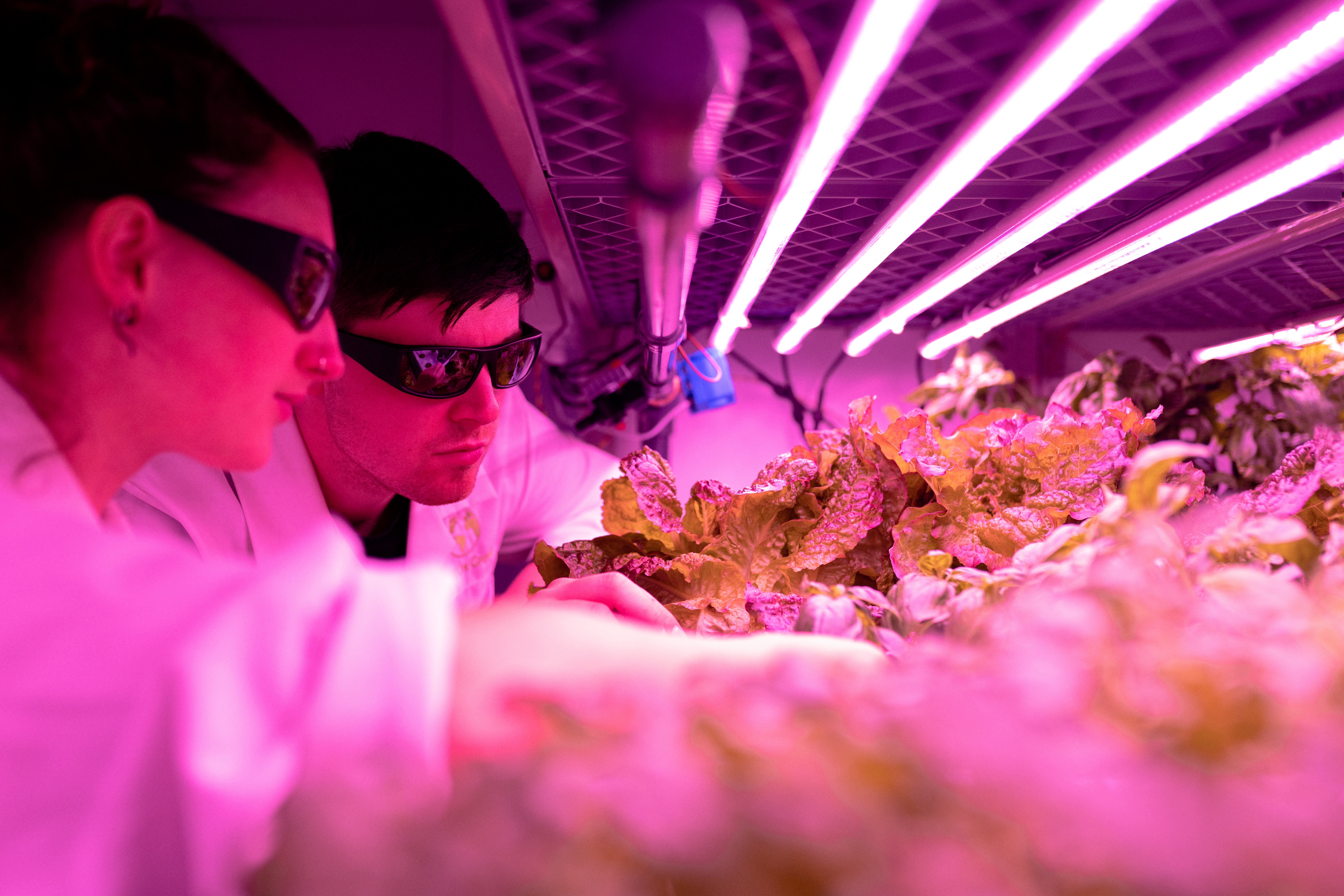 Vertical Garden Automation